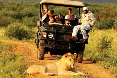 Günay Afrika Turu-Mega program