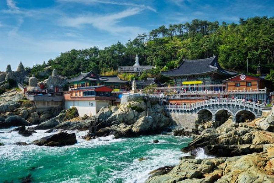 PROMO Kore&Jeju adası &Japonya Turu